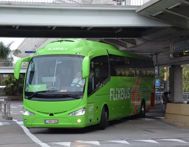 Miniatura: Z Warszawy do Finlandii. Flixbus uruchamia...