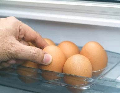 Miniatura: Wyjmij jajka z drzwi lodówki. Większość...