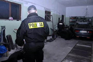 Policja rozbiła gang stręczycieli 