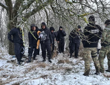 Miniatura: Kraje europejskie odsyłają do Polski...