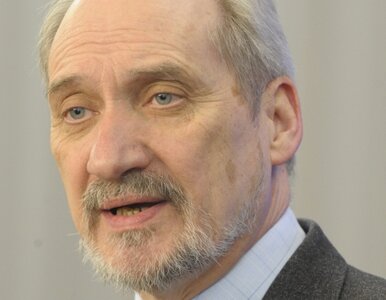 Miniatura: Macierewicz: raport o Smoleńsku...