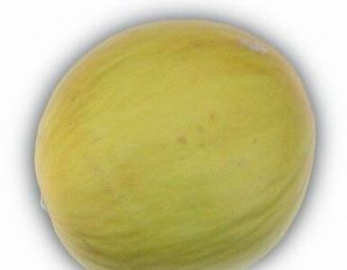 Miniatura: Stworzono melona, który pozostaje świeży...