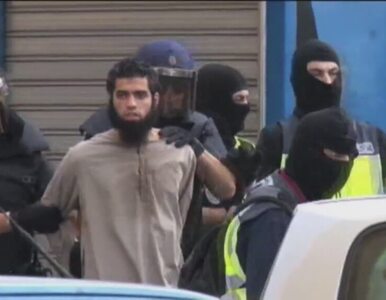Miniatura: Marokańska i hiszpańska policja...