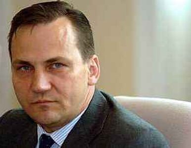 Miniatura: Janukowycz odznaczył Sikorskiego "za...