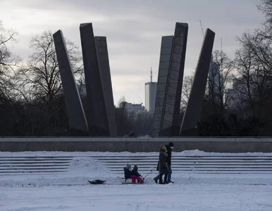 Miniatura: Burza śnieżna także w Warszawie. Grubo...