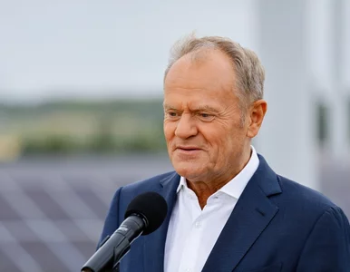 Miniatura: Donald Tusk potwierdził przekazanie...