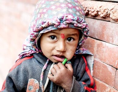 Miniatura: Pomóż Nepalowi z Grouponem