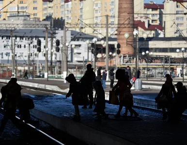 Miniatura: Wojna na Ukrainie. Rosyjski atak w pobliżu...