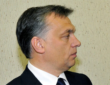 Orban stracił połowę sympatyków