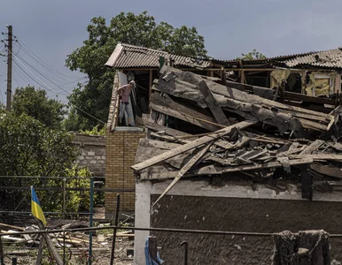 Miniatura: Bojlery, skarpetki czy budy dla psów....