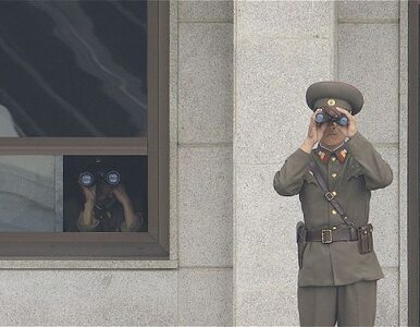 Miniatura: Chiny i Korea Północna zacieśniają więzi