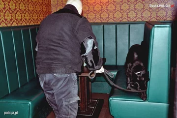 Zatrzymania członków grupy zajmującej się handlem ludźmi 