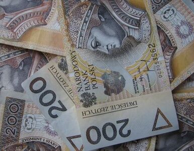 Miniatura: "Szóstka" w Lotto padła w Warszawie