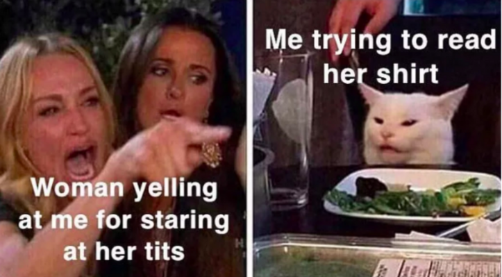 Miniatura: Smudge - najpopularniejszy tego lata koci...