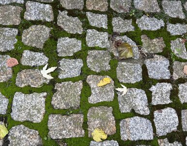 Miniatura: Wlej 4 szklanki do wody i zrób to w lutym....