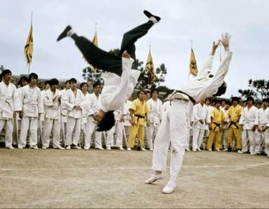 Miniatura: Wychowały się na nim miliony chłopaków. To...