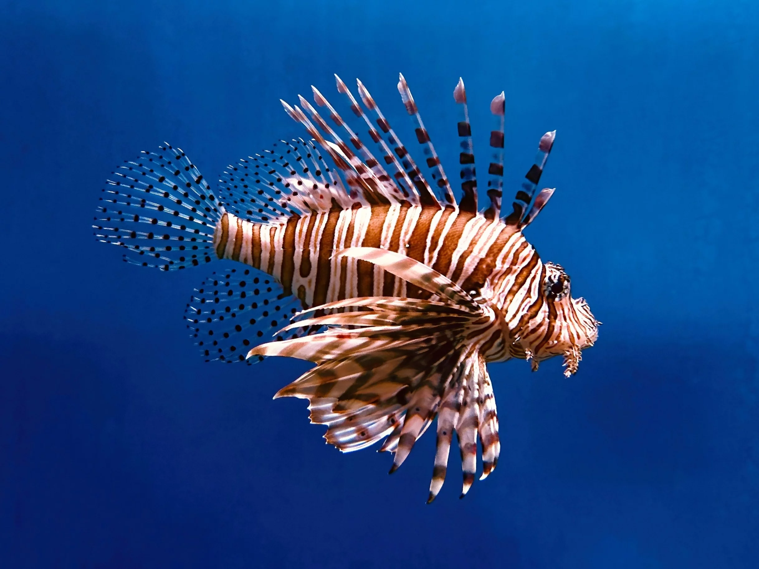 Banalny QUIZ na niedzielę. Zdobędziesz 10/10?