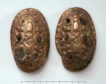 Jeden ze skradzionych wikińskich przedmiotów 