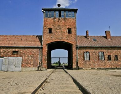 Miniatura: Auschwitz to niezły biznes