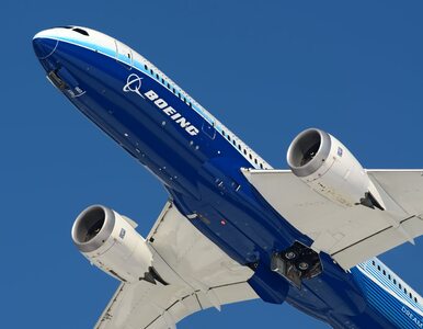 Miniatura: Boeing na uziemieniu 737 Max traci mld...