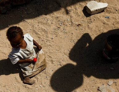Miniatura: Somalia: nie ma głodu, ale to wciąż klęska