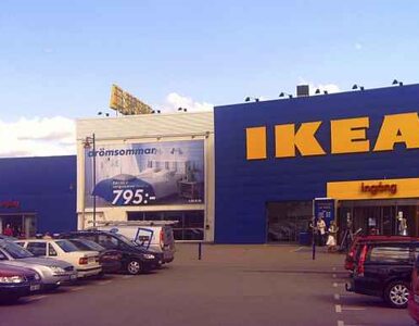 Miniatura: IKEA zaatakowana. W Belgii, Holandii i...
