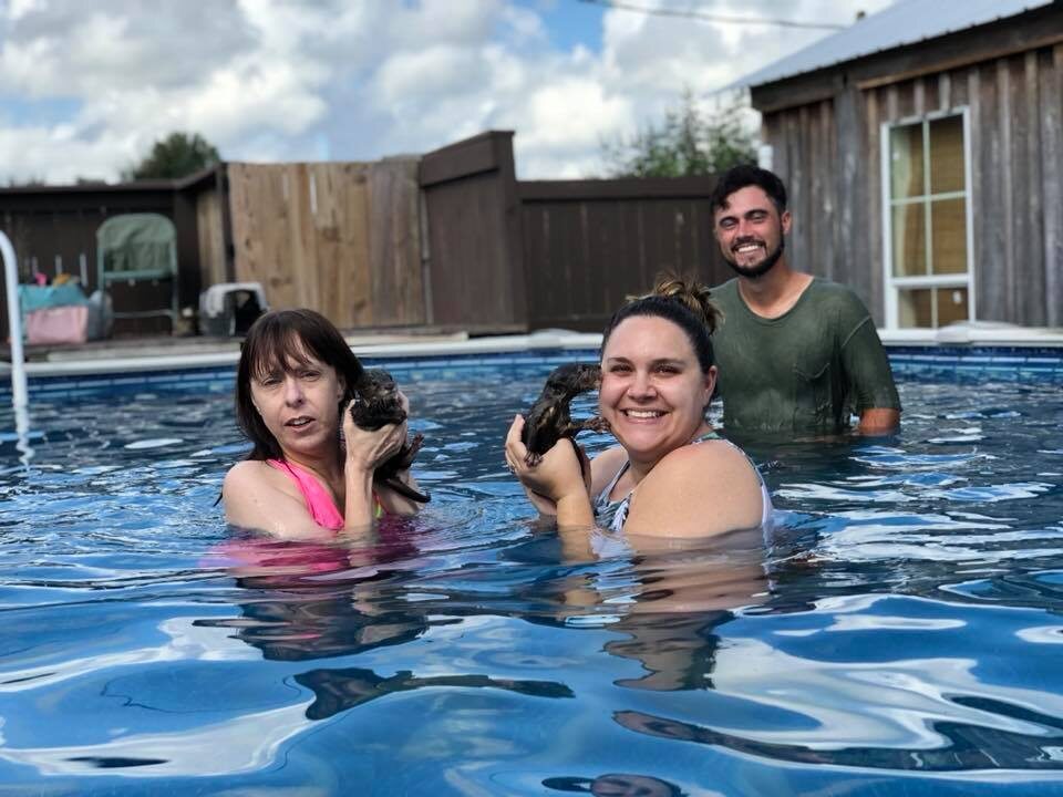 Turyści pływający z wydrami 