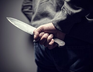 Miniatura: Atak nożownika w Holandii. Napastnik i...