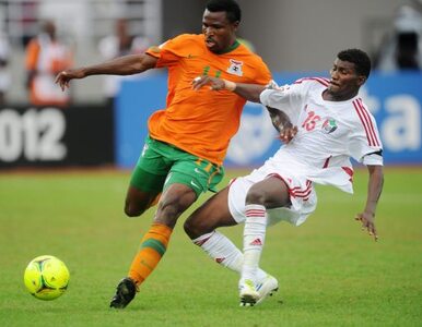 Miniatura: Puchar Narodów Afryki: Zambia powalczy o...
