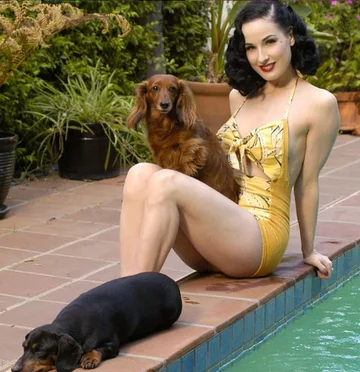 Dita Von Teese 