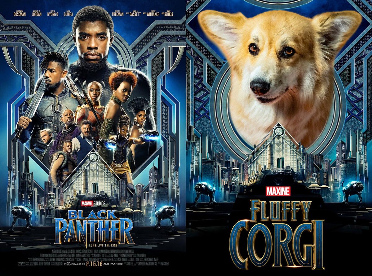 Plakat "Black Panther" i plakat "Fluffy Corgi" 