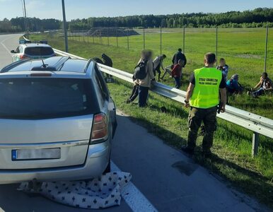 Miniatura: Piętnastu imigrantów w Oplu Zafirze....