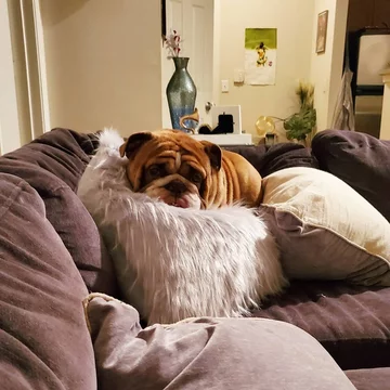 Big Poppa 