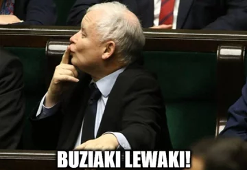 Mem po wyborach do PE 
