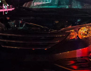 Miniatura: W wypadku zginęło jej dziecko. Teraz matka...