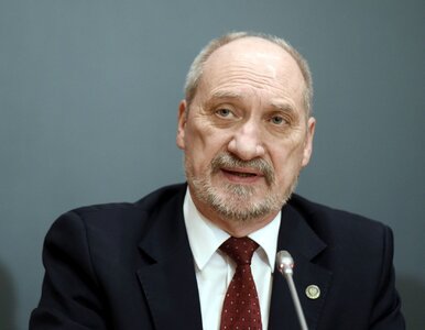 Miniatura: Macierewicz ujawnia przyczyny dymisji...