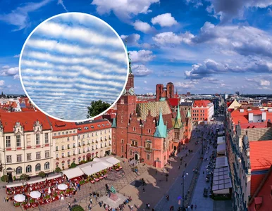 Miniatura: Nagle wszyscy zaczęli patrzeć w niebo....