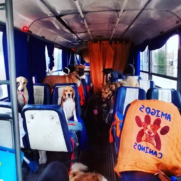 León Dario Sipes i jego podopieczni 