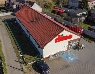 Miniatura: Dino nie zwalnia tempa. Wiemy, co sieć...