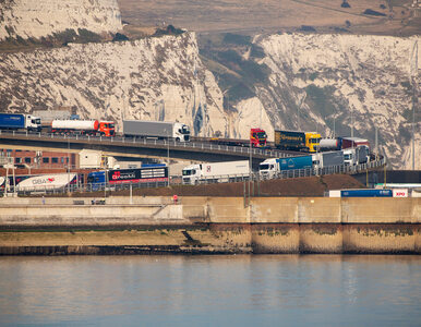 Miniatura: Port w Dover sparaliżowany....