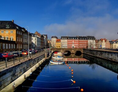 Miniatura: Alarm bombowy w Kopenhadze odwołany....