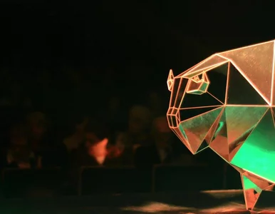 Miniatura: 36 godzin z szo(r)tami ŻubrOFFki