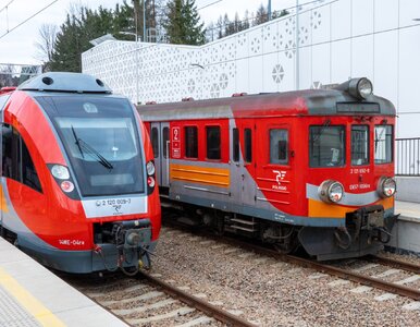 Miniatura: Powrót popularnych pociągów na jesień....