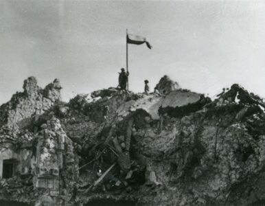 Miniatura: „Bitwa pod Monte Cassino przyćmiła...
