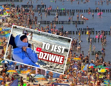 Miniatura: Wietnamka oceniła polskie morze. „Nie...