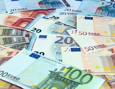 Miniatura: Europejski Bank Centralny podjął ważną...
