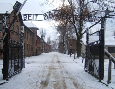 Miniatura: Losy napisu znad bramy w Auschwitz...