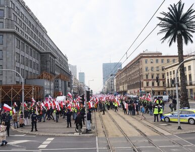 Miniatura: Zamieszanie na proteście rolników w...