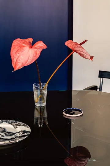 Mieszkanie w Katowicach, projekt MISTOVIA Studio 