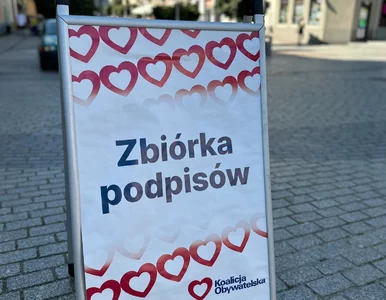 Miniatura: Kandydatka z list KO padła ofiarą gróźb i...